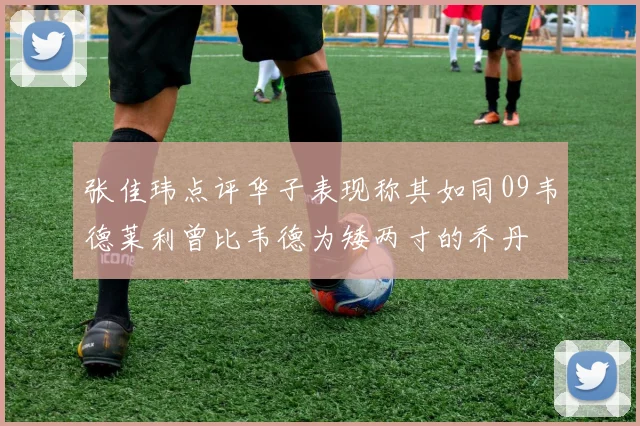 张佳玮点评华子表现称其如同09韦德莱利曾比韦德为矮两寸的乔丹