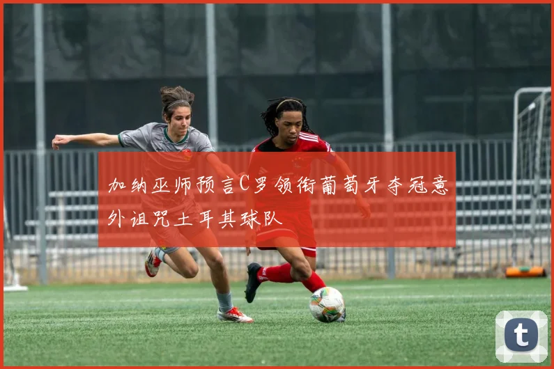 加纳巫师预言C罗领衔葡萄牙夺冠意外诅咒土耳其球队